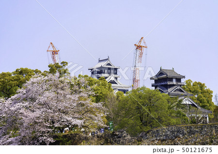 今こそ見に行く価値がある熊本城 (2019年4月7日) 今こそ見に行く価値がある熊本城 (2019年4月7日) 50121675