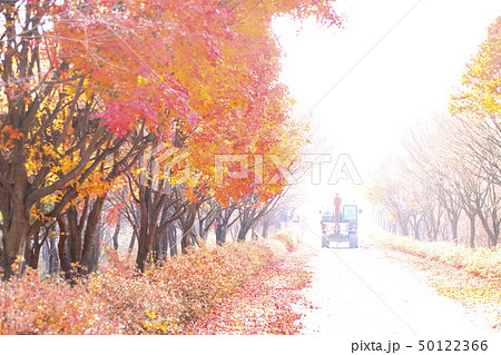 紅葉 秋 ショベルカー 50122366