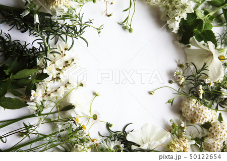 白い花とハーブの背景画像 白い花とハーブの背景画像 50122654
