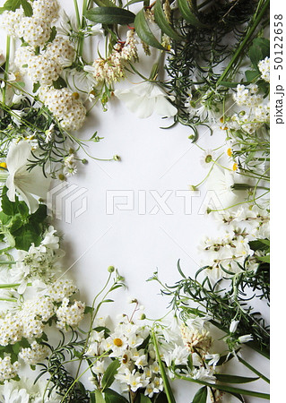 白い花とハーブの背景画像の写真素材