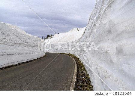 白根山　渋峠　雪景色　春 50123034