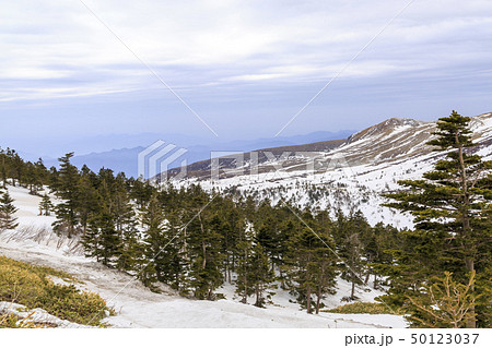 白根山　渋峠　雪景色　春 50123037