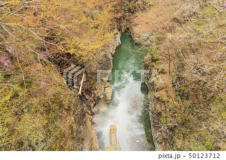 吾妻渓谷 50123712