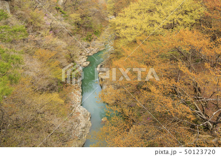 吾妻渓谷 50123720