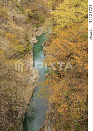 吾妻渓谷 50123723