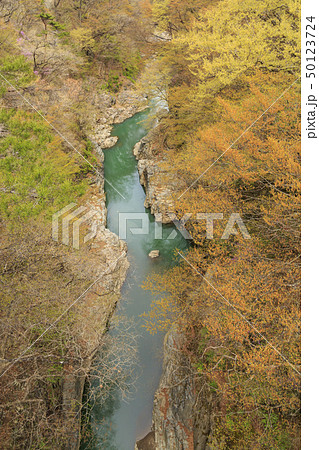 吾妻渓谷 50123724