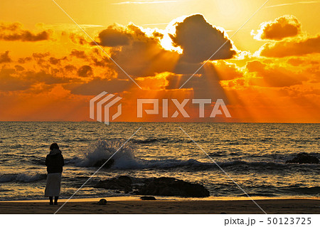 海辺の夕暮れ 50123725