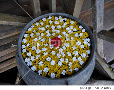 Mixed Flowers 50123865