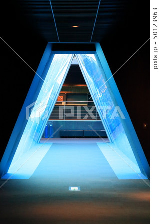 潮目のトンネル 撮影許可・協力:アクアマリンふくしま 潮目のトンネル 撮影許可・協力:アクアマリンふくしま 50123963