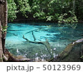 Emerald Pool 50123969