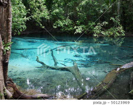 Emerald Pool 50123969