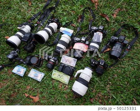 DSLR cameras on the grass 50125331