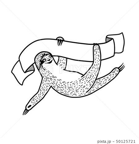 Smiling sloth hanging on a ribbon banner with copy space. Hand drawn, doodle style. Smiling sloth hanging on a ribbon banner with copy space. Hand drawn, doodle style. 50125721