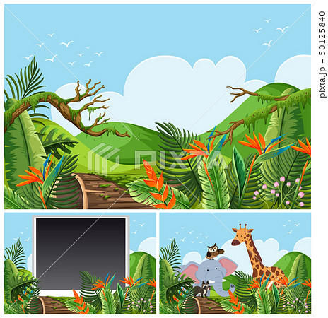 Mountain scenes with wild animals 50125840