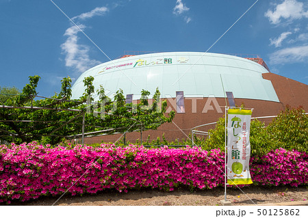 なしっこ館 新緑　青空 50125862