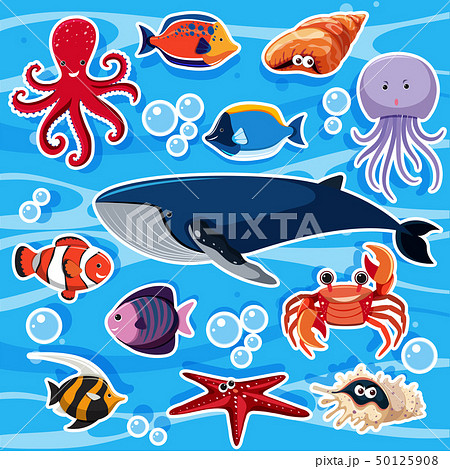 Sticker template with many sea animals Sticker template with many sea animals 50125908