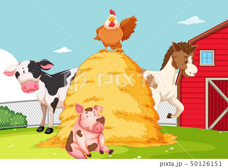 Animal at the farmland 50126151