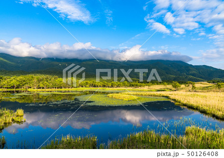 《北海道》夏の知床・知床連山と知床五湖 50126408