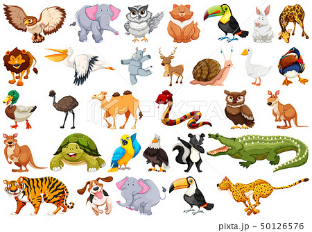 Set of animal character 50126576