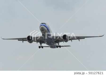 Passenger airplane landing at the airport Passenger airplane landing at the airport 50127621