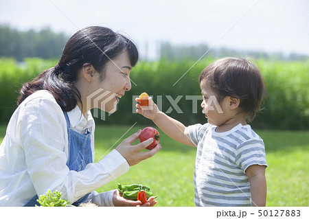 夏野菜収穫　親子 50127883
