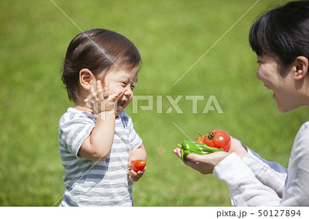 夏野菜収穫 親子 夏野菜収穫 親子 50127894