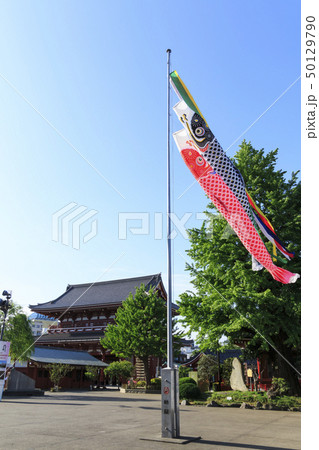 浅草寺(初夏) 浅草寺(初夏) 50129790