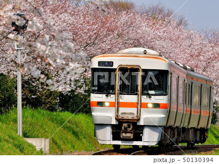 桜とキハ25 50130394
