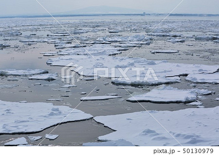 流氷 50130979