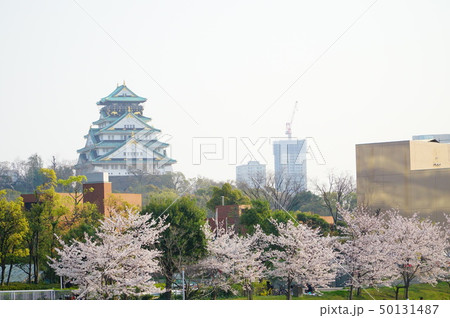 大阪城周辺 50131487