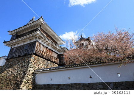 春の福知山城 春の福知山城 50132112