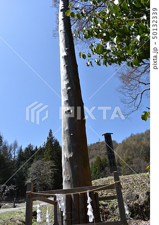 諏訪大社前宮御柱 50132339