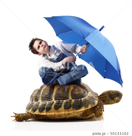 boy with umbrella sitting on a turtle 50133102