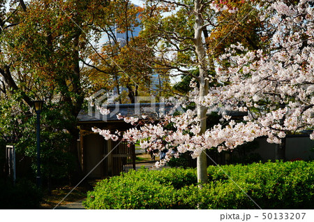 大阪城周辺 藤田邸跡公園 大阪城周辺 藤田邸跡公園 50133207