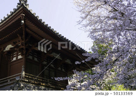 【静岡県】龍潭寺 【静岡県】龍潭寺 50133569