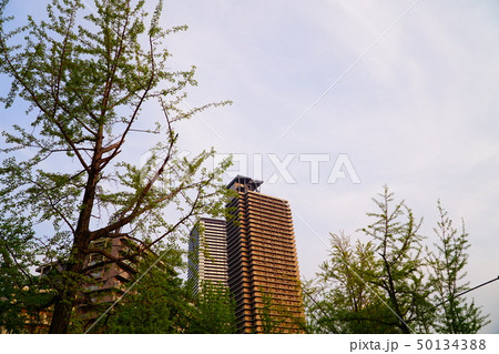 大阪福島駅 周辺 下福島公園周辺の写真素材