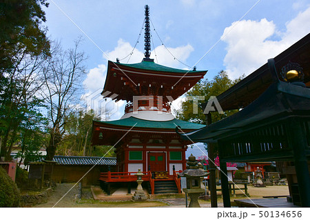 慈尊院 多宝塔 女人高野 慈尊院 多宝塔 女人高野 50134656