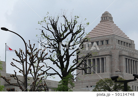 令和元年　国会議事堂 50134748