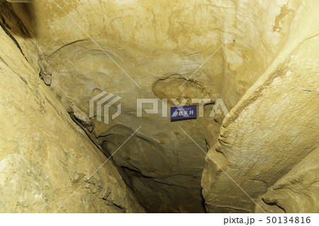 【静岡県】竜ヶ岩洞 50134816