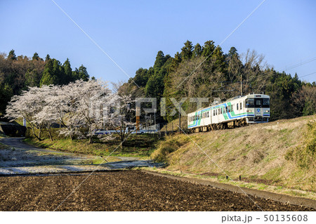 阿武隈急行8100系、桜満開の横倉駅発車 50135608
