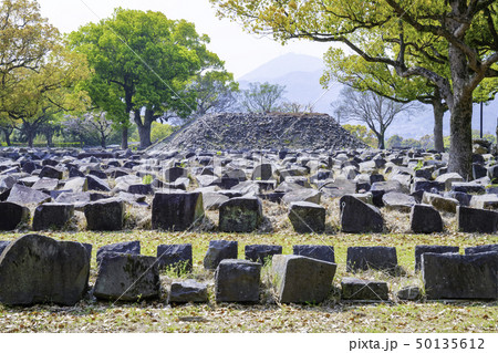 今こそ見に行く価値がある熊本城 石垣修復の時を待つ(2019年4月7日) 今こそ見に行く価値がある熊本城 石垣修復の時を待つ(2019年4月7日) 50135612