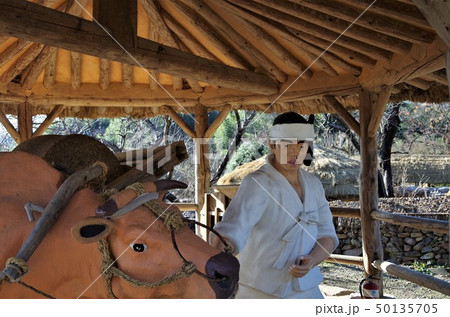 チャングムの誓いロケ地/楽安邑城民族村の風景 【韓国・順天】 50135705