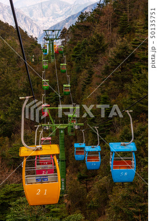 中国 チャイナ 磁器 50135751