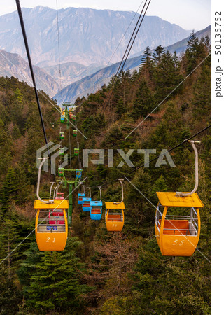 中国 チャイナ 磁器 50135752