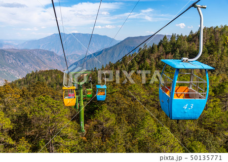 中国 チャイナ 磁器 50135771