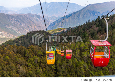 中国 チャイナ 磁器 50135776