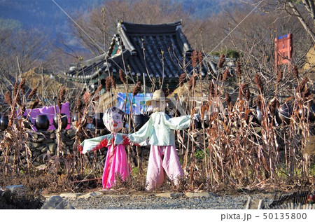 チャングムの誓いロケ地/楽安邑城民族村の風景 【韓国・順天】 50135800