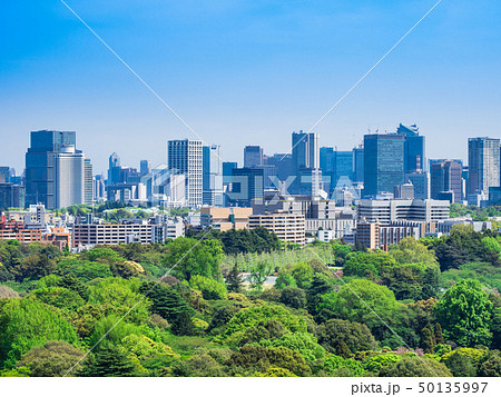 新緑と都市風景　東京（港区・千代田区周辺） 50135997
