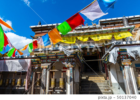 中国 チャイナ 磁器 50137040