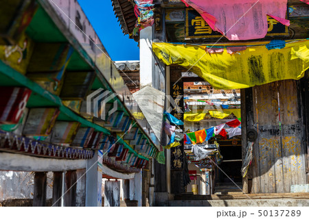 建築 構築 アーキテクチャ 50137289